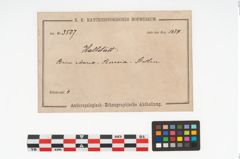 Etikett zu Holzschaufel (NHMW-PRAE-003507)